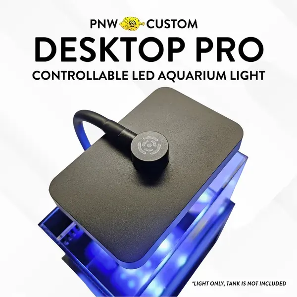 Desktop PRO LED Light